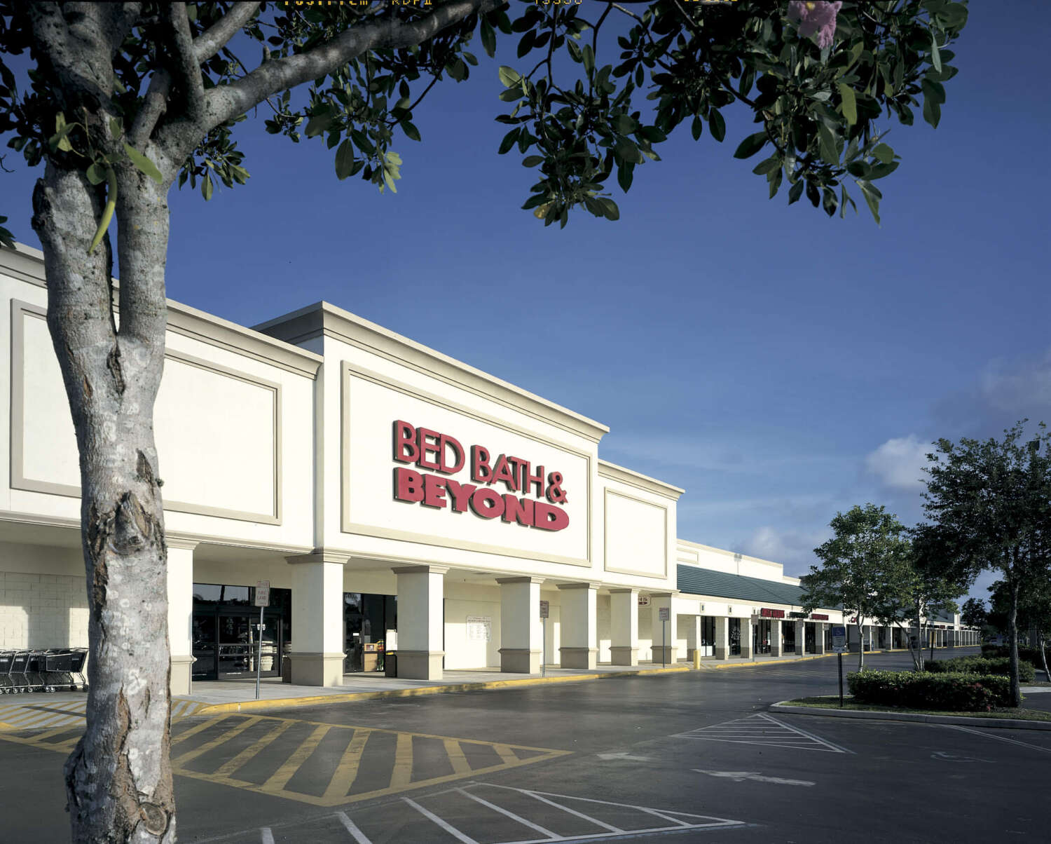 Bed Bath Beyond